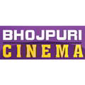 Bhojpuri Cinema  Channel available on Sun Direct