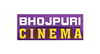 Bhojpuri Cinema available on Tata Play/Tata Sky