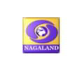 DD Nagaland  Channel available on Sun Direct
